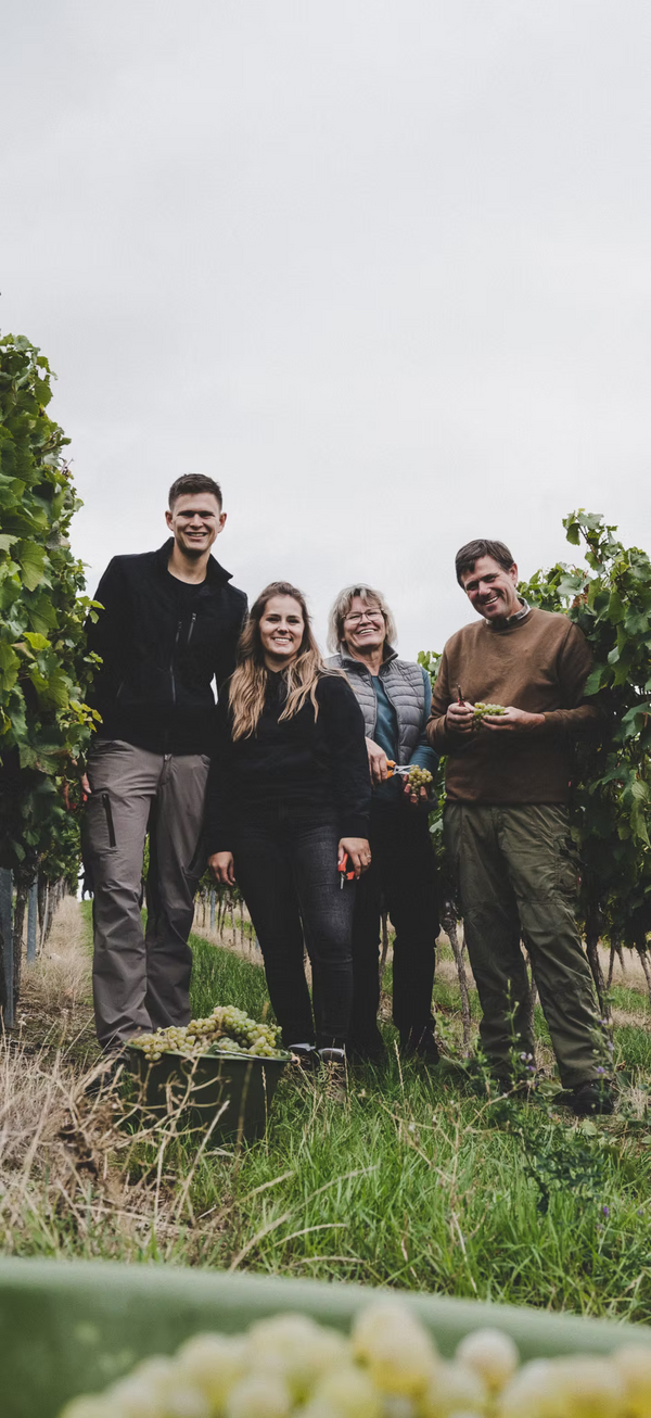 Familie Anhäusser bei der Weinlese in Mauchenheim