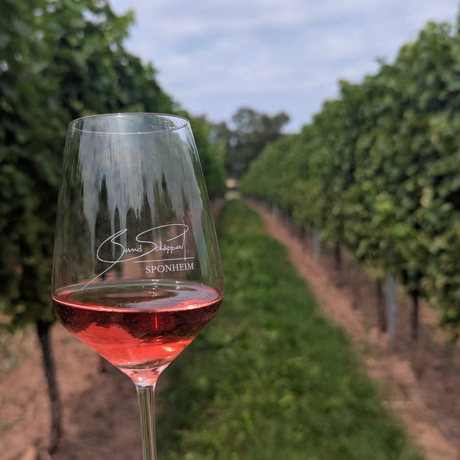 Weingut Schappert