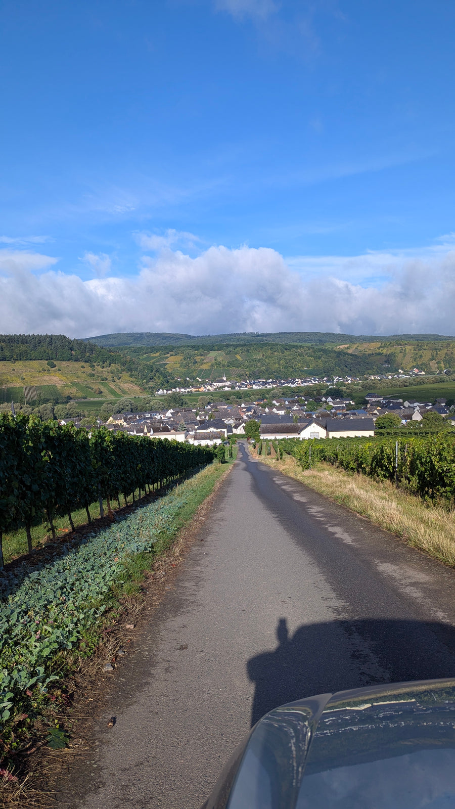 Weingut Hof Sonnental