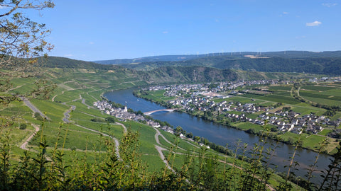 Mosel-Aussicht über Piesport