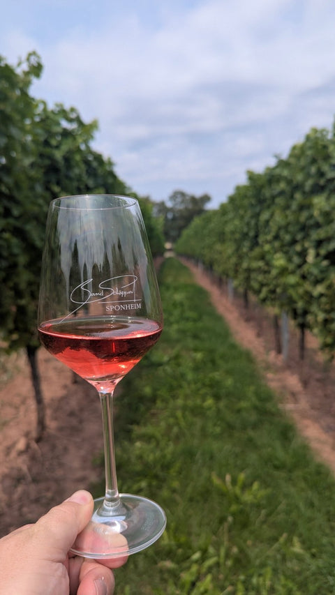 Geführte Weinwanderung - Andrés Flaschenpost - Andrés Flaschenpost