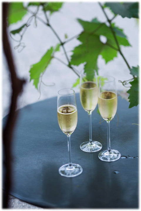 Sektempfang - Andrés Flaschenpost - Andrés Flaschenpost