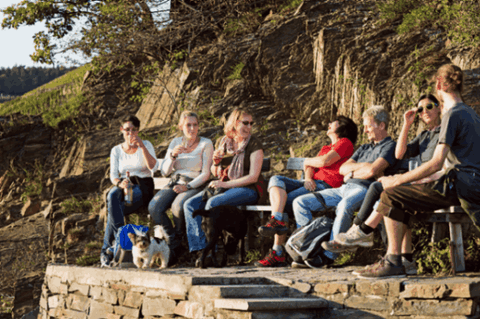 Eine Gruppe Wanderer bei einer Weinwanderung
