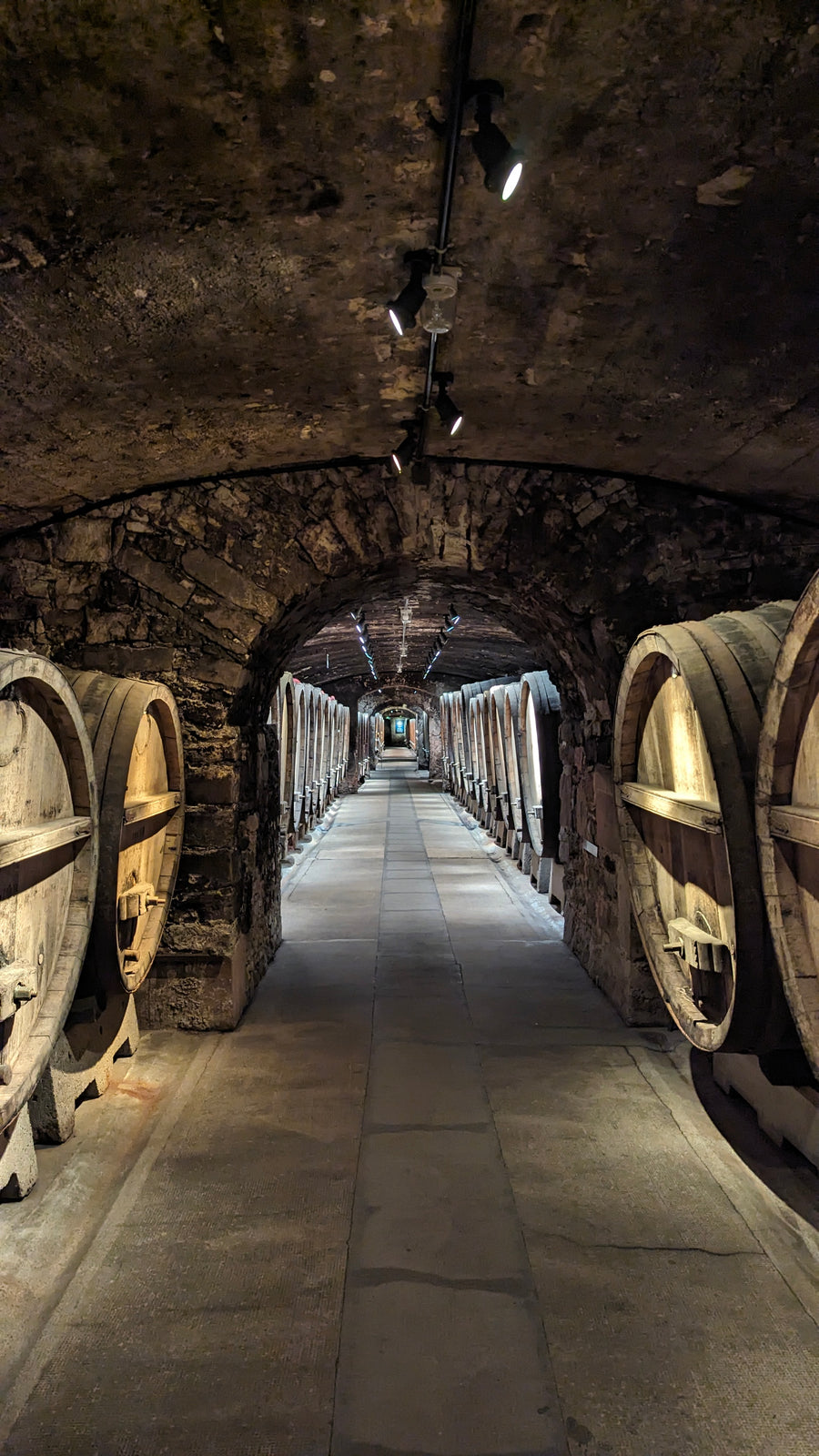 Weingut Juliusspital