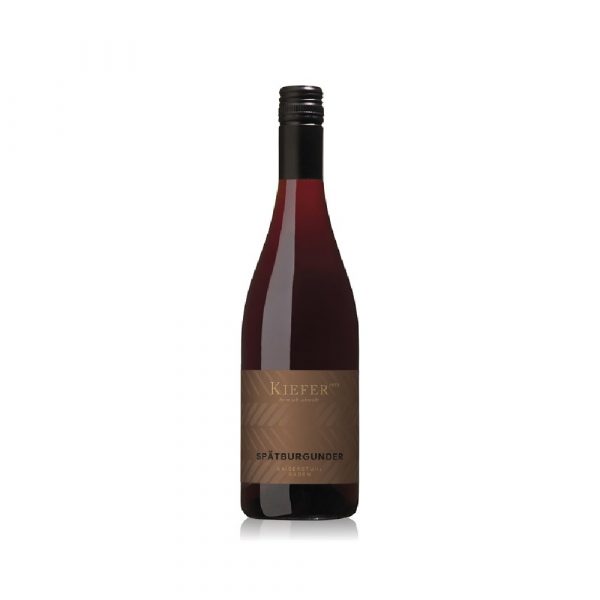 Flasche Spätburgunder Wein von Kieffer